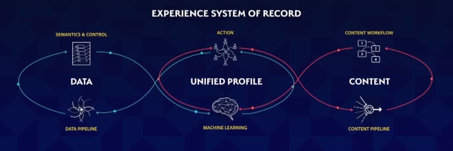 Experience system of record